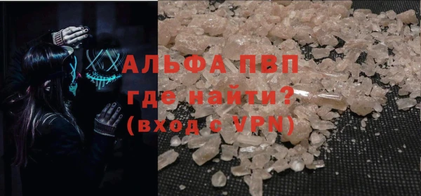 амф Бородино