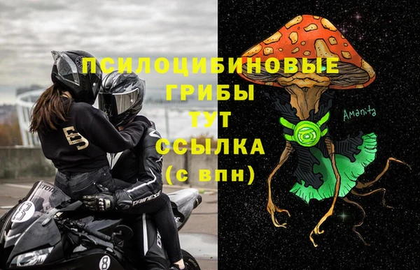 spice Верхний Тагил