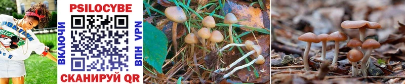 Галлюциногенные грибы GOLDEN TEACHER  где можно купить   Палласовка 